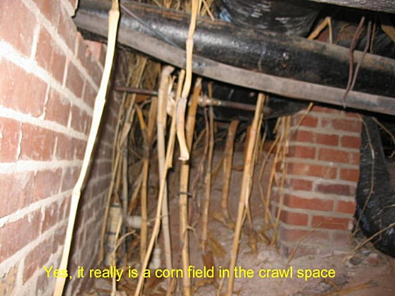 Nspection360 roof inspection photo 4